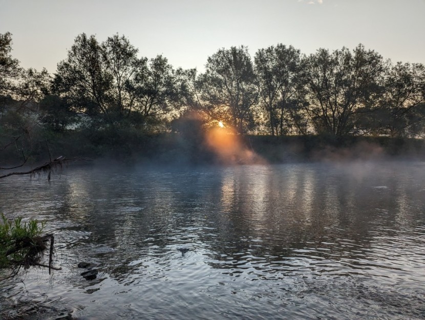 Morning at Wyebank - CM from Keynsham